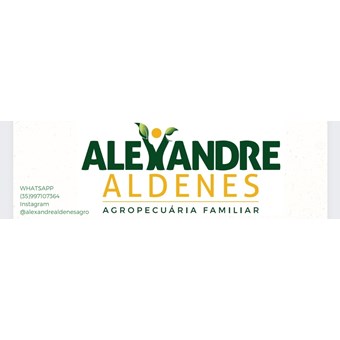 Alexandre Aldenes